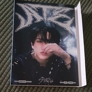 Stray Kids IN生 Album